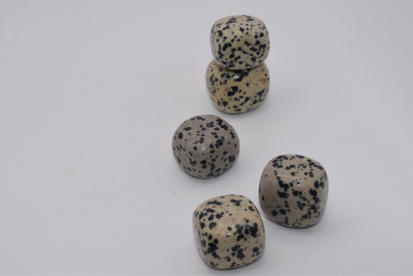 Leopard Spotted Stone  - Tumbled Stone