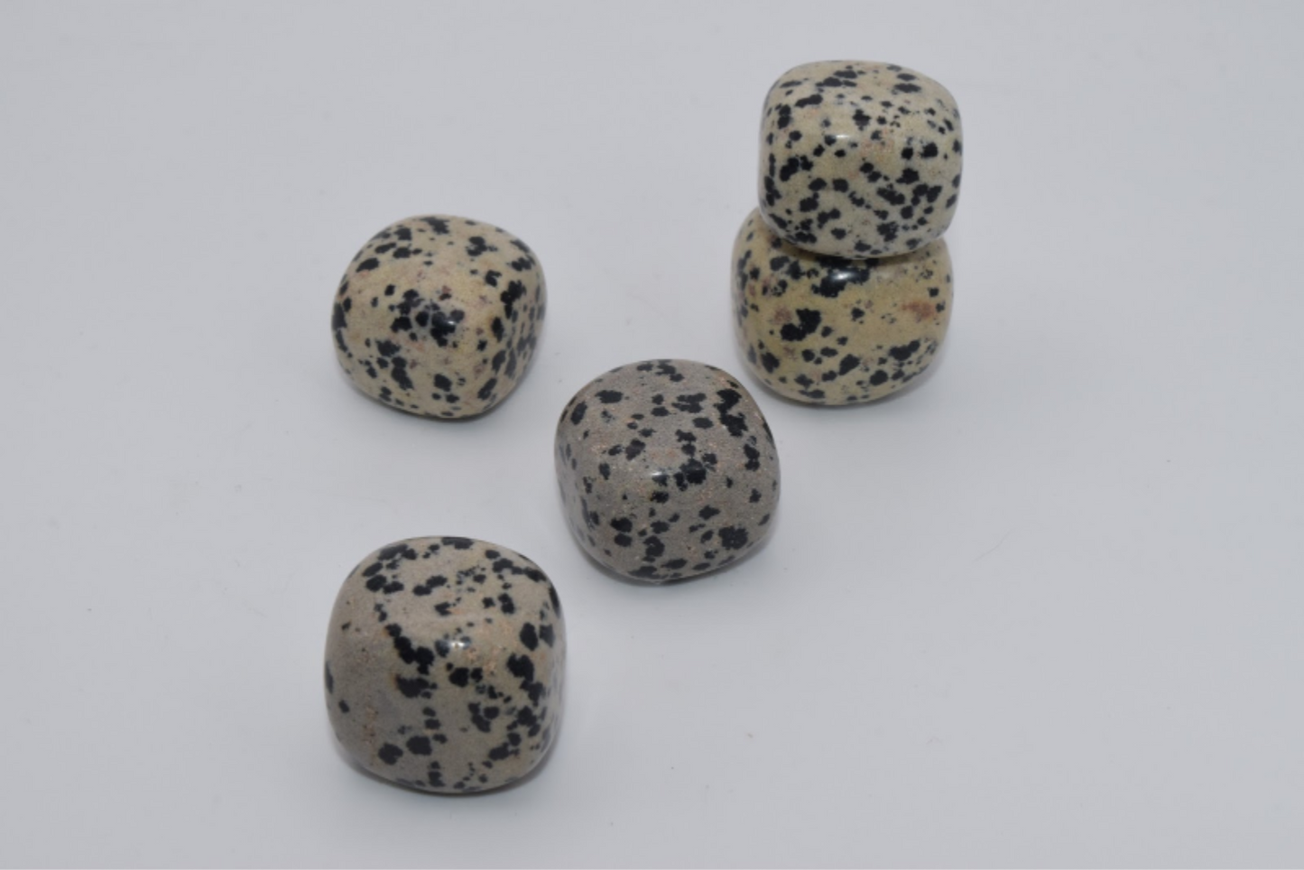 Leopard Spotted Stone  - Tumbled Stone