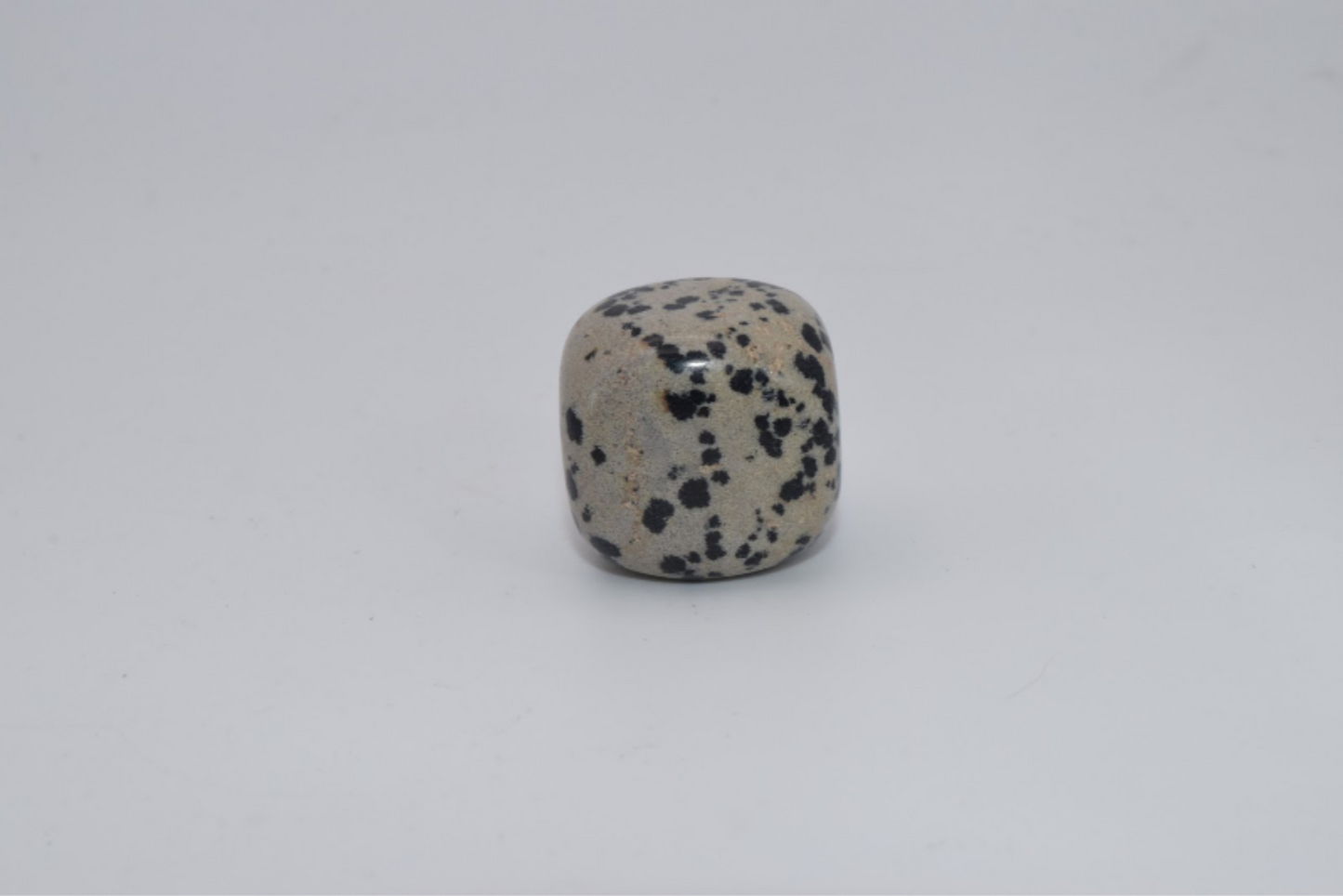 Leopard Spotted Stone  - Tumbled Stone