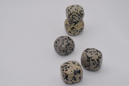 Leopard Spotted Stone  - Tumbled Stone