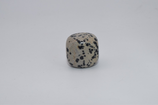 Leopard Spotted Stone  - Tumbled Stone