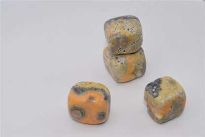 Bumblebees  - Tumbled Stone